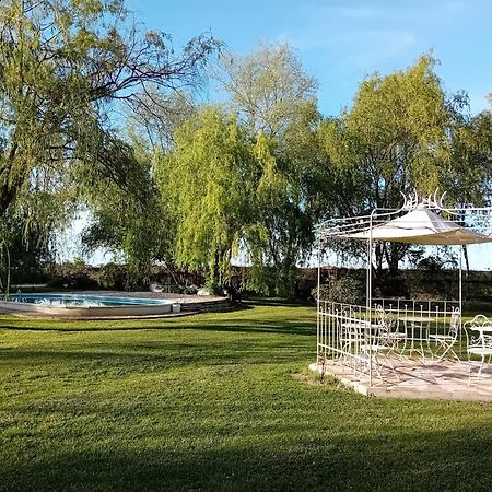 Antico Casale Dei Sogni Agriturismo Lugo  Dış mekan fotoğraf