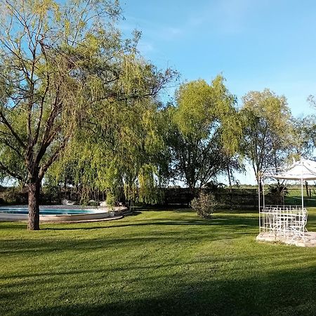 Antico Casale Dei Sogni Agriturismo Lugo  Dış mekan fotoğraf