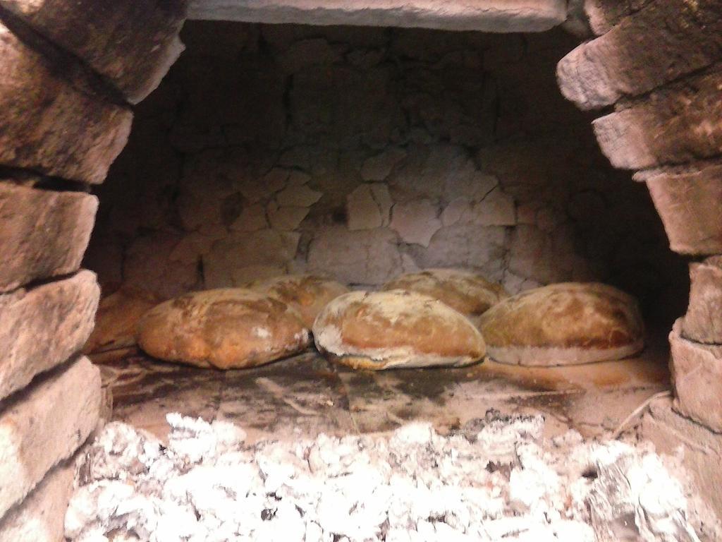 Antico Casale Dei Sogni Agriturismo Lugo  Dış mekan fotoğraf