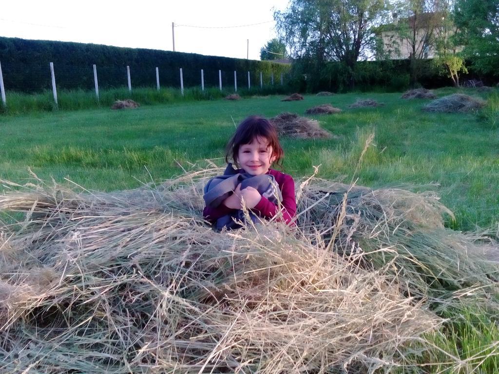 Antico Casale Dei Sogni Agriturismo Lugo  Dış mekan fotoğraf