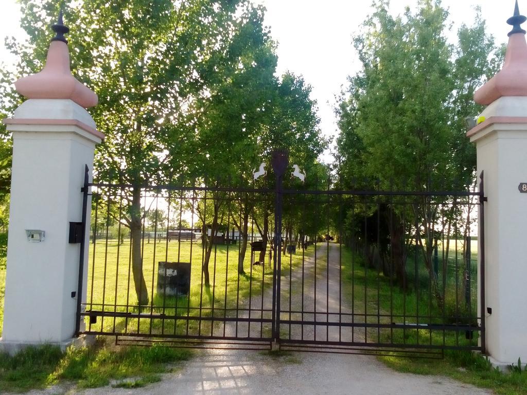 Antico Casale Dei Sogni Agriturismo Lugo  Dış mekan fotoğraf