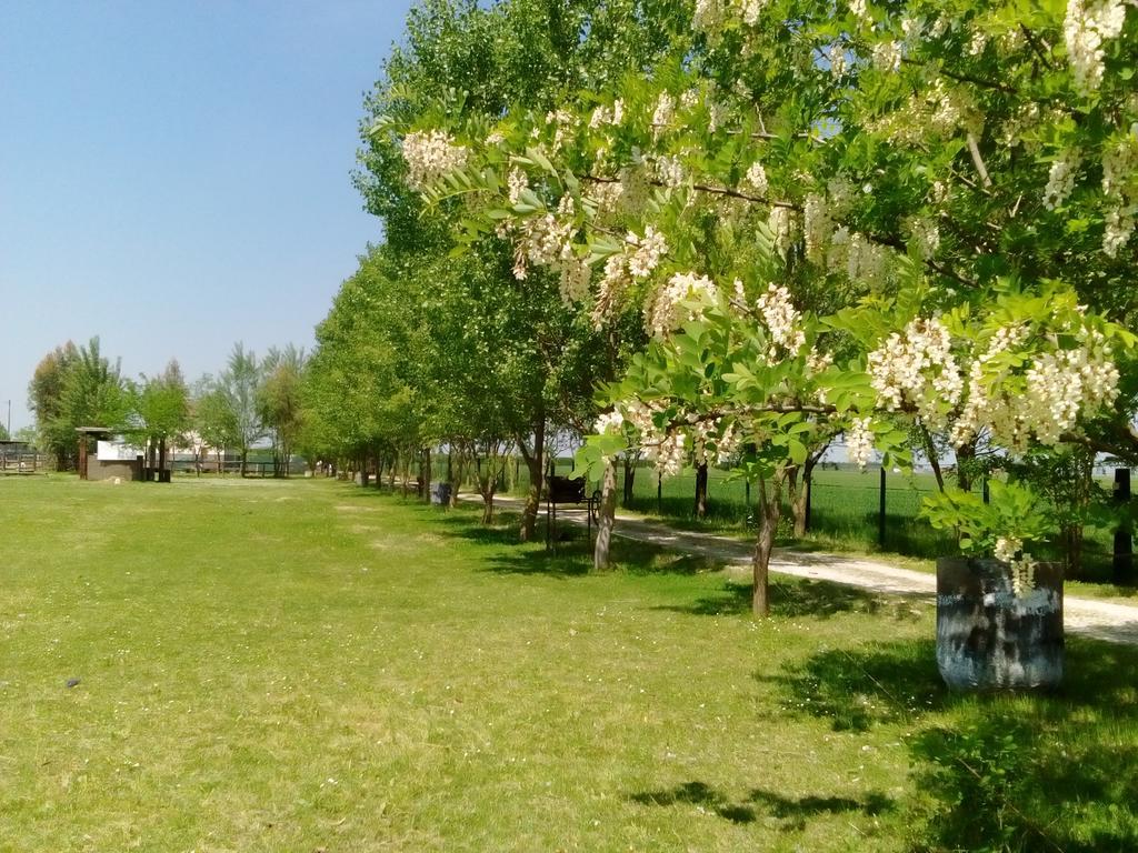 Antico Casale Dei Sogni Agriturismo Lugo  Dış mekan fotoğraf