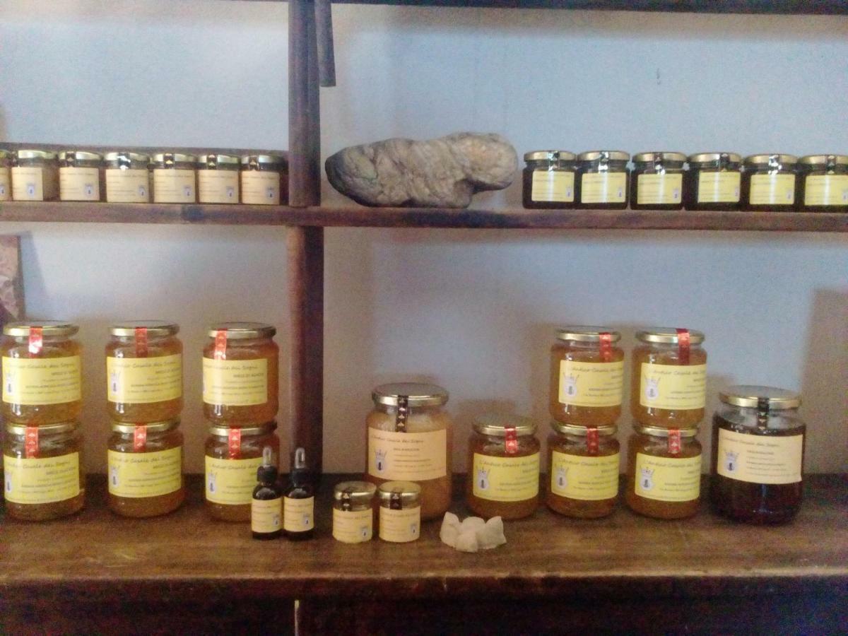 Antico Casale Dei Sogni Agriturismo Lugo  Dış mekan fotoğraf